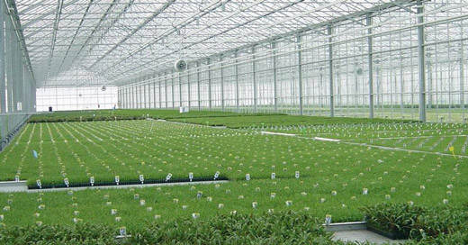 Universal and anti-drip corrugated sheets